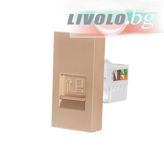 LIVOLO - WK-1-63 - Шампанско-металик LAN МОДУЛ 22.5 мм
