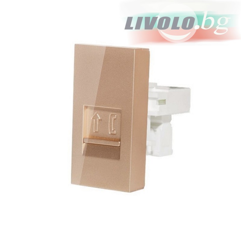 LIVOLO - WT-1-63 - Шампанско-металик телефонен МОДУЛ 22.5 мм