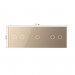 LIVOLO - 70212-63 (C7-C2/C1/C2-13) - ШАМПАНСКО, панел кристално стъкло, 5 точки, 223mm*80mm, EU